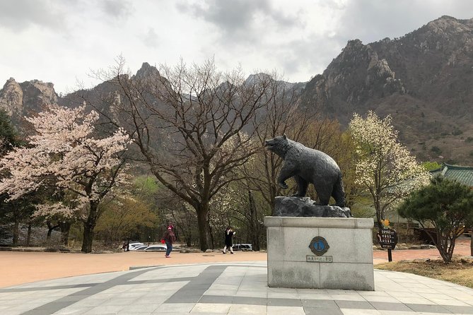 Mt. Seorak+Nami Island+Garden of Morning Calm Day Trip From Seoul - Cable Car and Zip Wire