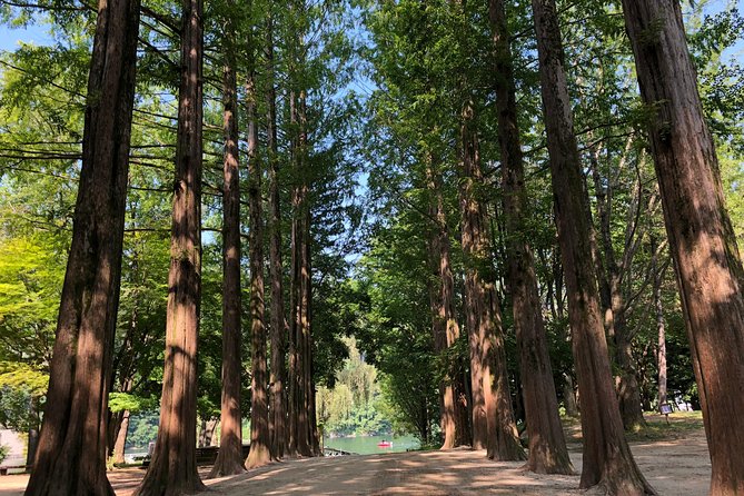 Mt. Seorak+Nami Island+Garden of Morning Calm Day Trip From Seoul - Additional Tour Details
