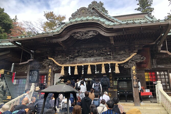Mt. Takao Hiking Tour With Licensed Guide - Physical Fitness Requirements