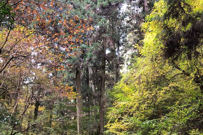 Mt. Takao Hiking Tour With Licensed Guide - Private Tour and Group Participation