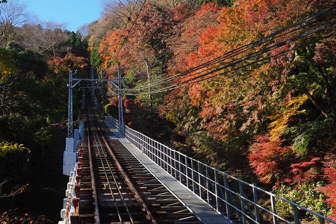 Mt. TAKAO Trekking 1 Day Tour - Cancellation Policy