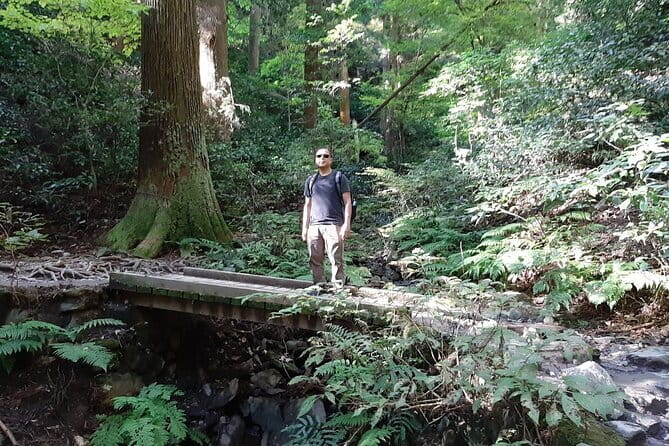 Mt. Takao With Hot Spring Private Tour - Experiencing the Hot Spring