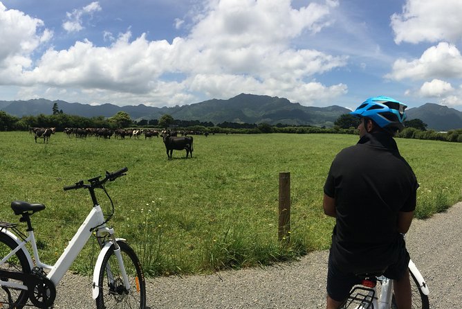 Mt. Te Aroha Bike Hire & Tours - E-bike Tour on Hauraki Rail Trail