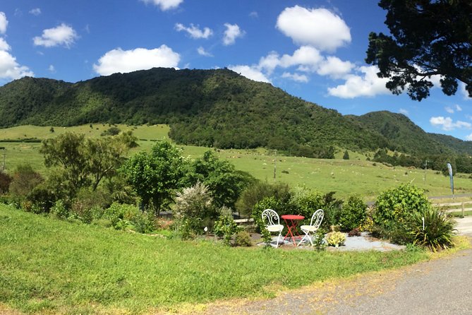 Mt. Te Aroha Bike Hire & Tours - Guided Tour of Historic Te Aroha
