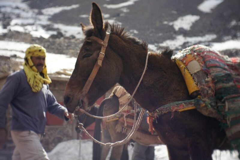 Mt Toubkal 2 Days & 1 Night From Marrakech - Experience Highlights
