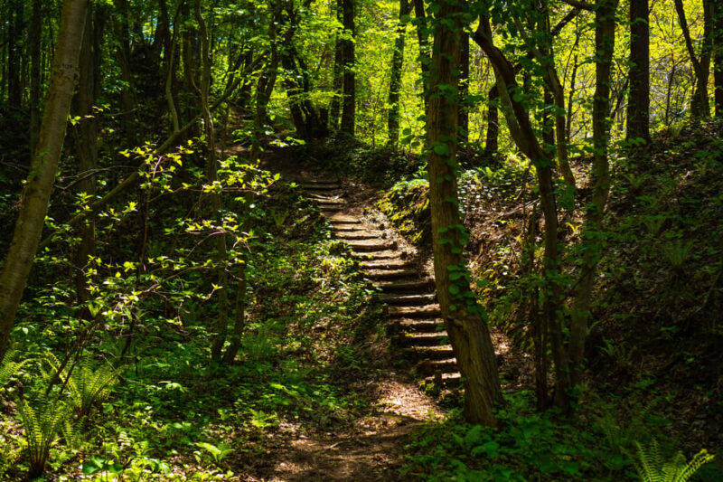 Mt. Usu: Hike to the Crater and See the Stunning Lake Toya! - Highlights of the Volcano