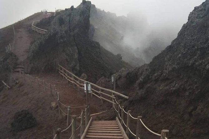 Mt. Vesuvio Excursion Halfday From Naples - Transportation and Logistics