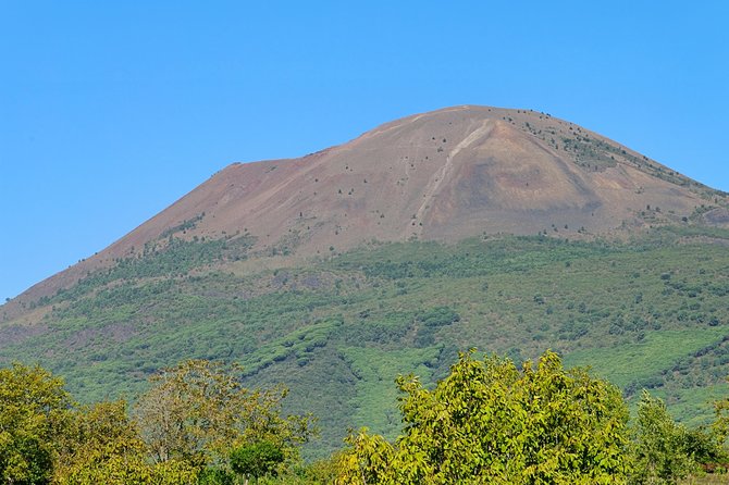 Mt Vesuvius Half-Day Trip From Naples - Tour Inclusions and Exclusions