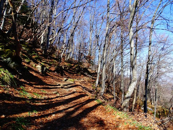 Mt. Vitosha and Boyana Waterfall Hiking Tour From Sofia - Scenic Highlights