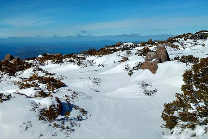 Mt Wellington Ultimate Experience Tour From Hobart - Accessibility