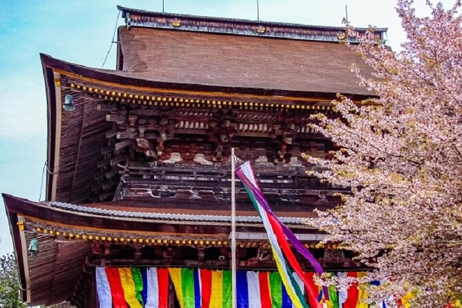 Mt Yoshino and Mt Koya Multi Day Tour From Osaka - Key Points