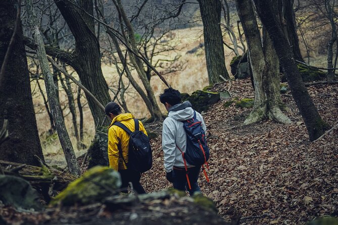 Mt. Yufu Grassland Private Hiking and Lunch - Meeting and Pickup Information