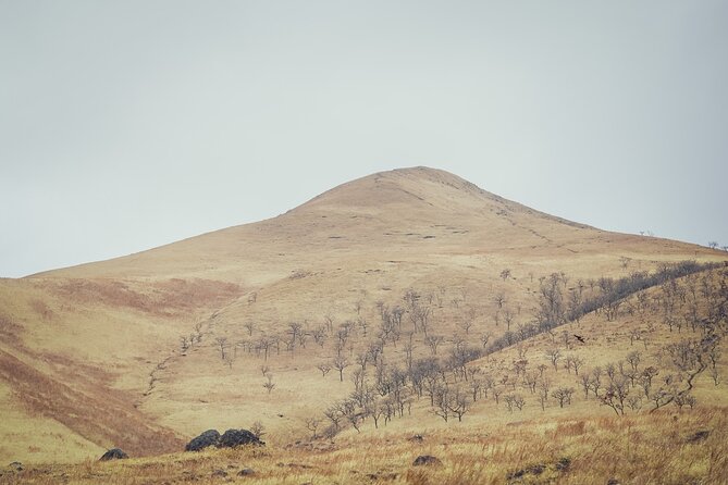 Mt. Yufu Grassland Private Hiking and Lunch - Physical Fitness Requirements