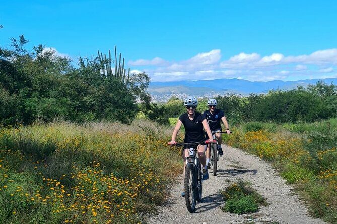 MTB Bike Tour: Monkey Tree + Tule Tree - Pricing and Overall Value