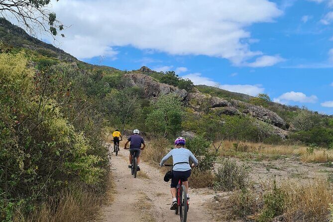 MTB Bike Tour: Tree of the Tule on mountain trails - Who Will Love This Tour?