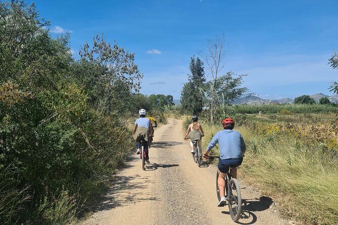 MTB Bike Tour: Tree of the Tule on mountain trails - The Sum Up: A Must-Do for Active, Curious Travelers