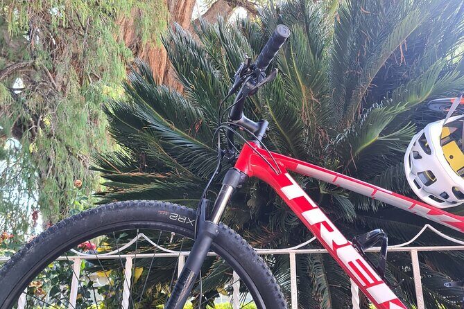 MTB Bike Tour: Tree of the Tule on mountain trails - FAQ