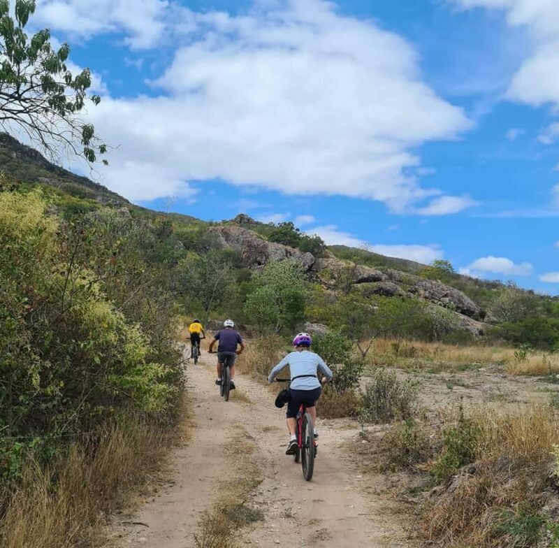 MTB Bike Tour: Tule Tree through the country-side - Key Points