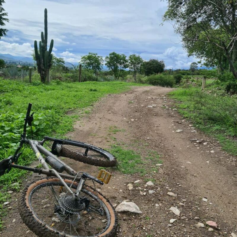 MTB Bike Tour: Tule Tree through the country-side - FAQs