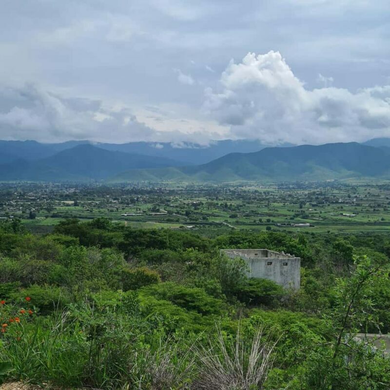 MTB Bike Tour: Tule Tree through the country-side - Final Summary