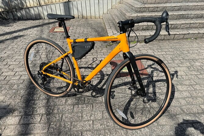 MTB, Hybrid or Gravel Road Bike Rental in Okutama, Tokyo - Location and Meeting Point