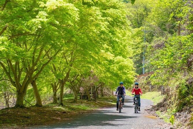 MTB, Hybrid or Gravel Road Bike Rental in Okutama, Tokyo - Whats Included