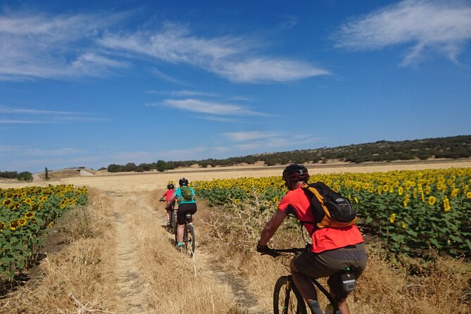 MTB (Self-Guided) Setenil De Las Bodegas - 30KM Easy - Positive Traveler Feedback