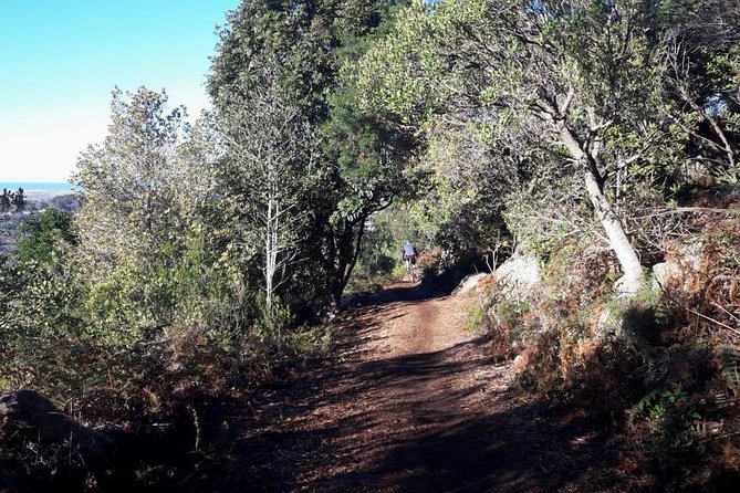 MTB Table Mountain - Constantia Morning Tour - Booking Information