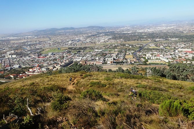 MTB Table Mountain - Constantia Morning Tour - Reviews