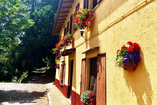 MTB Tour Lake Como Mountain Views & Local Cuisine - Scenic Vistas
