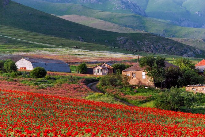 Mtskheta, Jvari, Gori, Uplistikhe (Private Tour) - Accessibility and Medical Considerations
