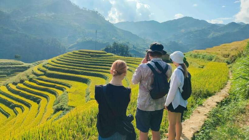 Mu Cang Chai: Highlights 3-hour Guided Hiking Trip - Transportation and Pickup