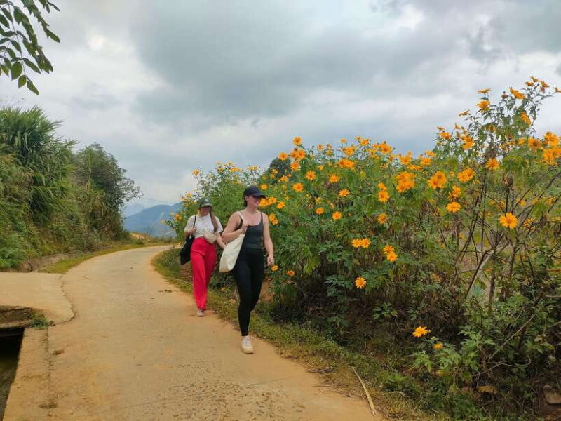 Mu Cang Chai: Highlights 3-hour Guided Hiking Trip - Inclusions and Exclusions