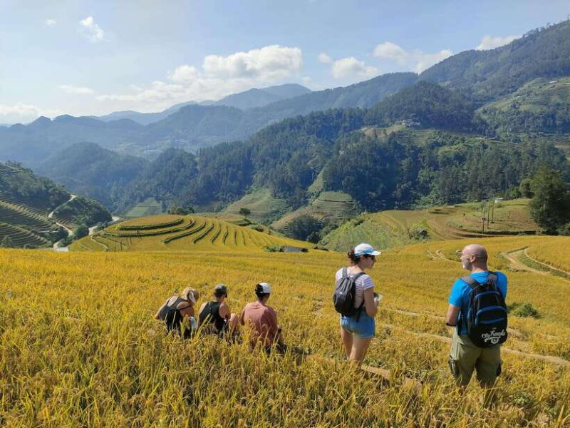 Mu Cang Chai: Highlights 3-hour Guided Hiking Trip - Important Information and Requirements