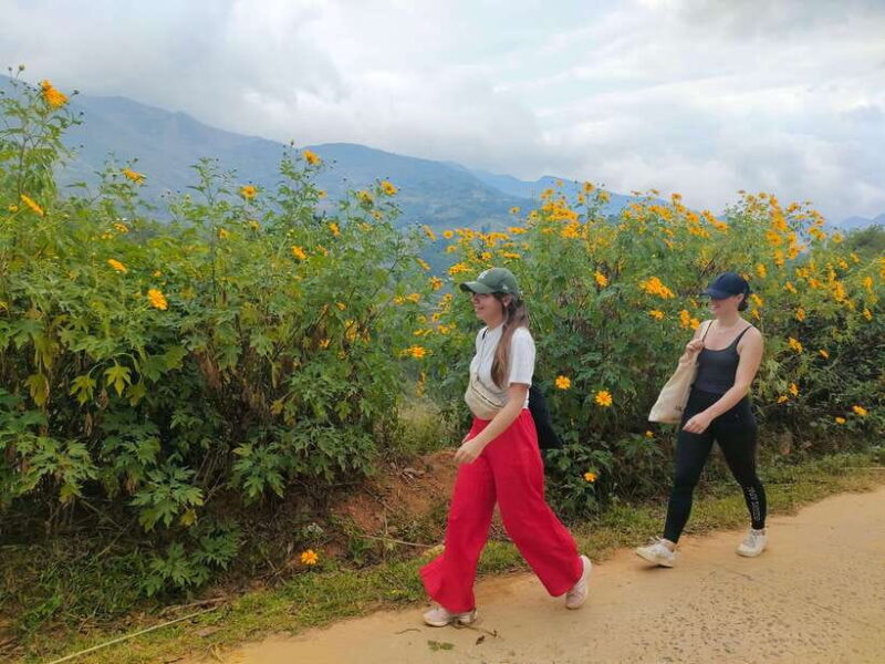 Mu Cang Chai: Highlights 3-hour Guided Hiking Trip - Exploring the Rice Tray Viewpoint and Hang Sung Village
