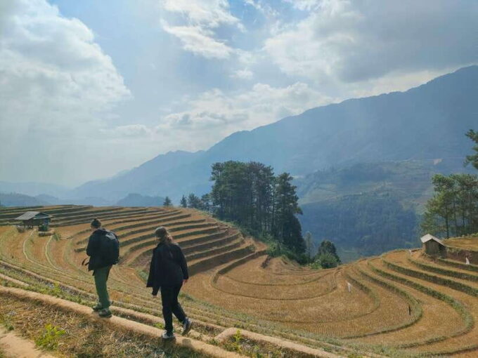 Mu Cang Chai: Highlights 3-hour Guided Hiking Trip - Discovering the Pung Luong Rice Terrace Fields and Hidden Waterfall