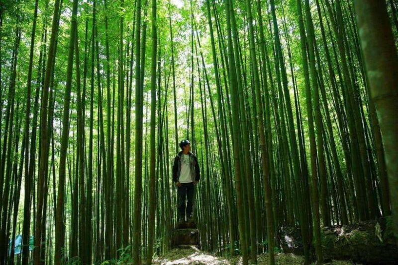 Mu Cang Chai: Motorbike Adventure With Waterfalls & Villages - Dive Into the Rich Cultural Traditions