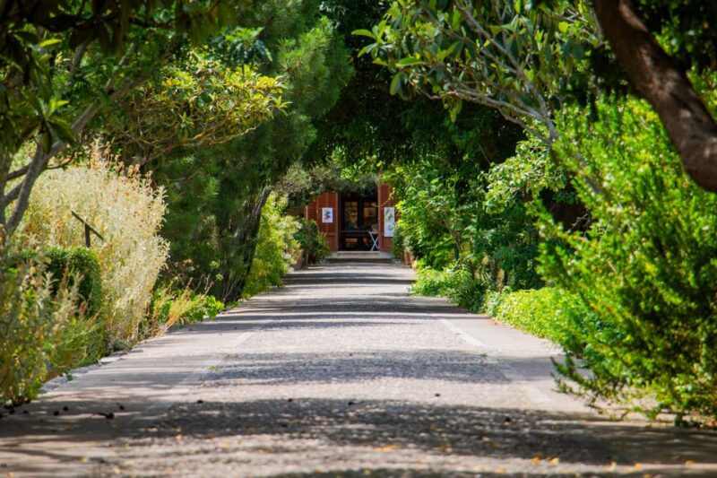 MUCBO | Botanical Garden of Sóller - Balearic Museum of Natural Sciences - Key Points