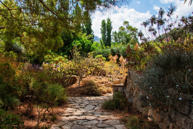 MUCBO | Botanical Garden of Sóller - Balearic Museum of Natural Sciences - Admission and Booking Information
