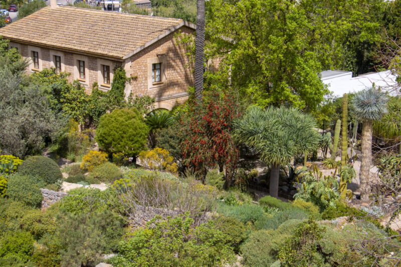 MUCBO | Botanical Garden of Sóller - Balearic Museum of Natural Sciences - Educational Programs and Activities