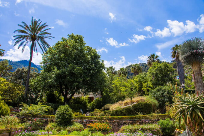 MUCBO | Botanical Garden of Sóller - Balearic Museum of Natural Sciences - Connecting With Balearic Biodiversity