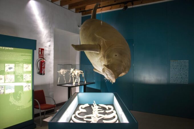 MUCBO | Botanical Garden of Sóller - Balearic Museum of Natural Sciences - Frequently Asked Questions
