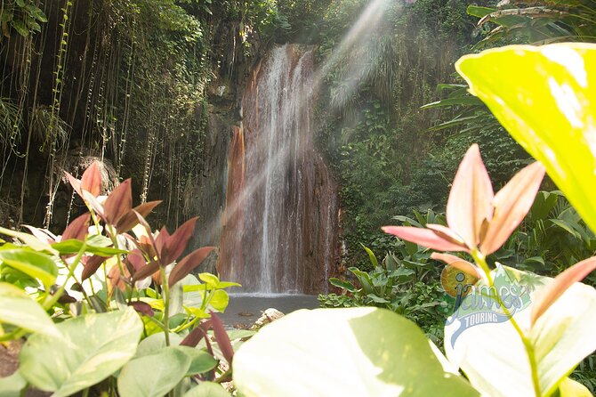 Mud Bath, Waterfall and Beach-Break Tour Groups Only - Customer Reviews and Pricing