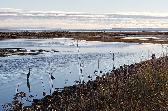 Mud Bay Park Bicycle Rental - Dates of Operation