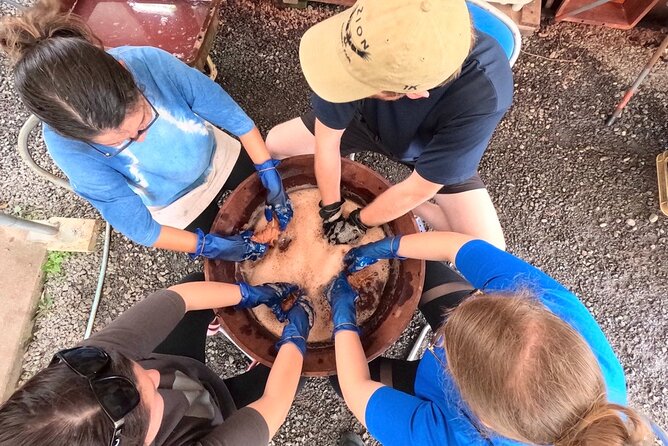 Mud Dyeing Workshop and Visit to Oshima Tsumugi Textile Factory - Booking and Cancellation
