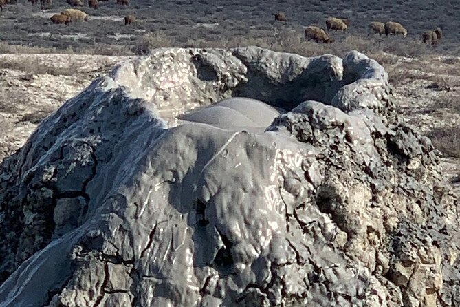 Mud Volcanoes & Gobustan Private Tour - Accessibility and Participation