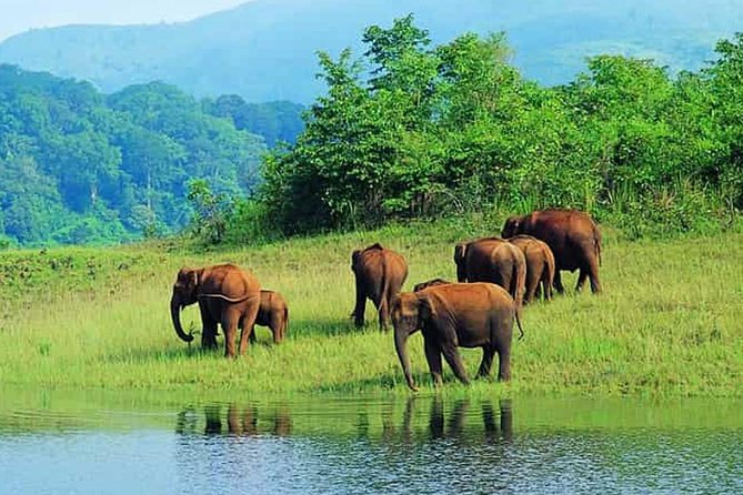 Mudumalai Wildlife Heaven From Bangalore - Nilgiri Biosphere Reserve Biodiversity
