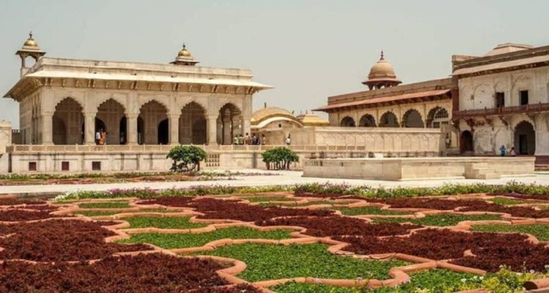 Mughal Majesty & Wildlife Wonders: 3 Days 2 Night - Encounters With Chambals Wildlife
