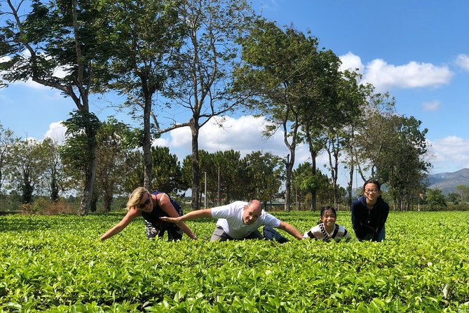 Mui Ne Exploring Tour to Da Lat for 2 Days or Vice Versa - Customer Experiences