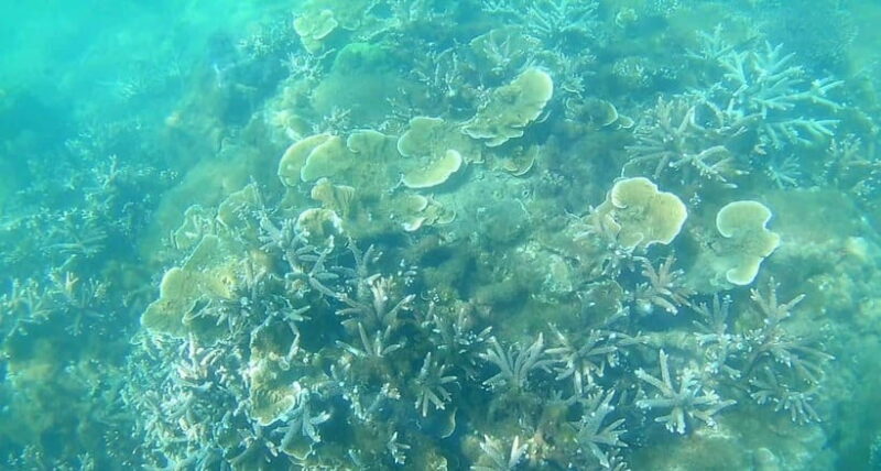 Mui Ne: Hidden Waterfall, Vinh Hy Bay Snorkeling Adventure - Overview and Pricing